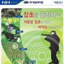 영일광고 이미지