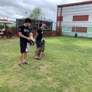 리더스독 이미지