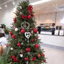 편안한 스테이 이미지