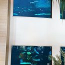 다이아몬드호텔 - 제주시 신대로12길 42 | 신혼여행 숙소 추천 | “알로힐라니 리조트 와이키키 비치 호텔” 솔직 후기 · 다이아몬드 오션뷰 객실