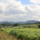 망경산성 이미지