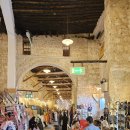 아이보리매직 이미지