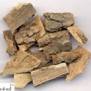 쑥뜸천하제주점 | 제주 토산인 해동(海桐 Pittosporum tobira) 북아메리카 남부