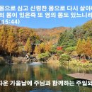 2021 11 07 11월 첫째주 소망의 기도문 이미지