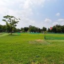 파크골프장의 입지와 허가 - 임재홍 심판/기획전략위 부위원장 이미지