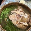 산장가든 티스토리