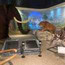 마전어린이집 | [내돈내산] 안면도 쥬라기 박물관에 가보자!(ft. 안면도 여행, 보령 아기랑, 안면도 키즈카페, 이용팁...