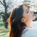 노르웨이숲 - 서산시 안견로 235 | 노르웨이숲