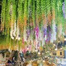 보타닉아덴1 이미지