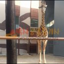 롯데리아(부산초읍) | 부산초읍어린이대공원 "동물원" 더파크 2탄