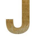 제이커브(j-curve)