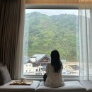 레몬비한라산리조트점 | 정선 파크로쉬 리조트앤웰니스 숙암 트윈룸 가리왕산뷰 얼리체크인 꿀팁 및 호캉스 후기