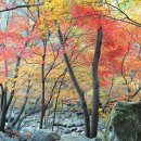 갈바람 - 미추홀구 | 갈바람