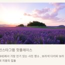 외국 친구에게 꼭 소개하고 싶은 한국의 매력적인 여행지