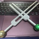 위경포크 이미지