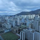더샵위드부동산중개 네이버블로그