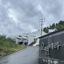 오션테라 이미지