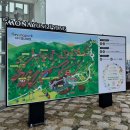 앞들동2로 이팝나무길 | 다정함이 머무른 자리