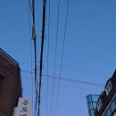 지존목장 이미지