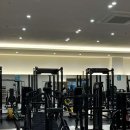 올페이스짐 이미지