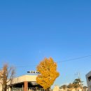 엘티디씨 유한회사 네이버블로그