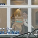 서진여행사