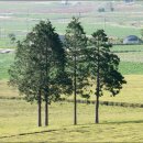 으뜸2농장 이미지