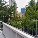 미소 사우나 이미지