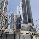 메가센트럴약국 이미지