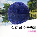 비금축구장 축구장 | 신안 도초도 섬 수국축제 및 팽나무 10리길 꽃구경