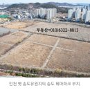 인천 옛 송도유원지 일대 개발사업 ‘올스톱’… 이미지