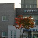 선단보건지소 이미지