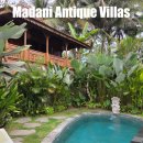 호텔정글(jungle) | 발리 우붓 뜨갈랄랑 독채 숙소 마다니 앤티크 정글 풀빌라