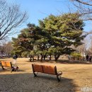 고양 애견동반 강아지와 꼭 가야 할 곳, 일산서구 반려동물공원