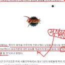 비앤티솔루션