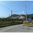 가루매마을 이미지