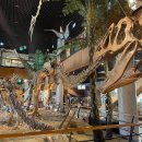 안면도쥬라기박물관 이미지