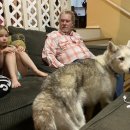 멍이와냥이 이미지