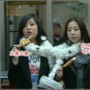 소희꼬치 Daum카페