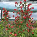 가온하우스 이미지