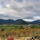 매전면사무소 이미지