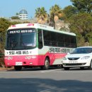 신우성흑돼지 | 제주흑돼지 맛집 찾는다면? 중문맛집 신우성흑돼지 중문점 솔직후기