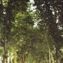 SH호스텔 | 2024 여행 4개월 정리. zip 우즈베키스탄 타지키스탄 편