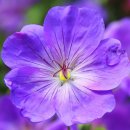 대전문화초교+대전문성초교+꿈내리유치원 | 대전 유치원 주소록 정보