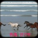 드림콘서트 레벳 조이 이미지