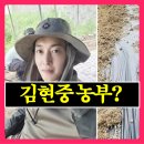 김현중농장 | [충격] "벌금 폭탄 무서워 삽 들었다" 김현중, 뙤약볕 아래 옥수수 노예로 전락한 사연?