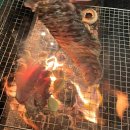 왕산모터스 | 왕산해수욕장 펜션 숙박 대신 캠핑카 대여 후기!