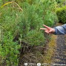 모구리야영장(체력단련장) 이미지