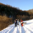 휘닉스파크 이미지