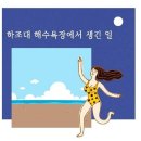 예쁘다. 하조대 이미지